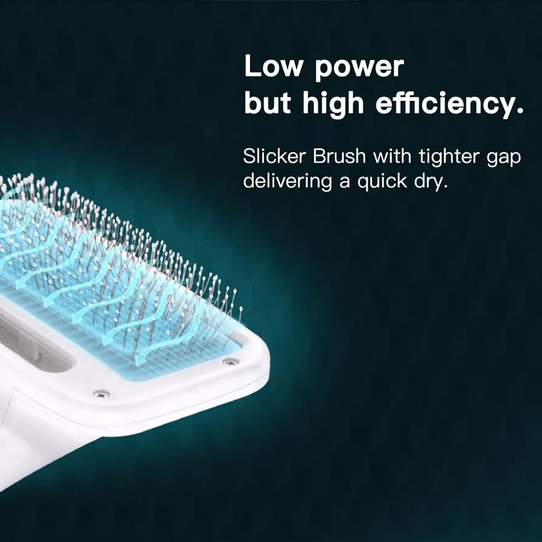 2 in 1 Pet Hair Dryer