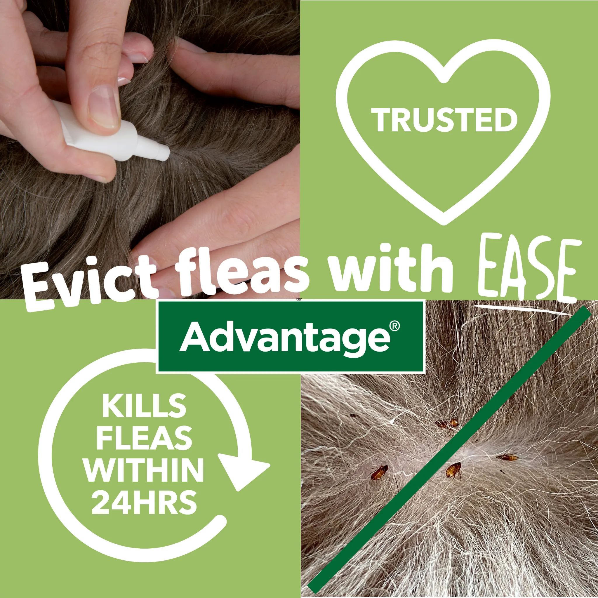 Advantage 40, 4 Week Spot-On Flea Treatment For Small Cats, Dogs and Rabbits Up to 3.99kg - 4 Pipettes