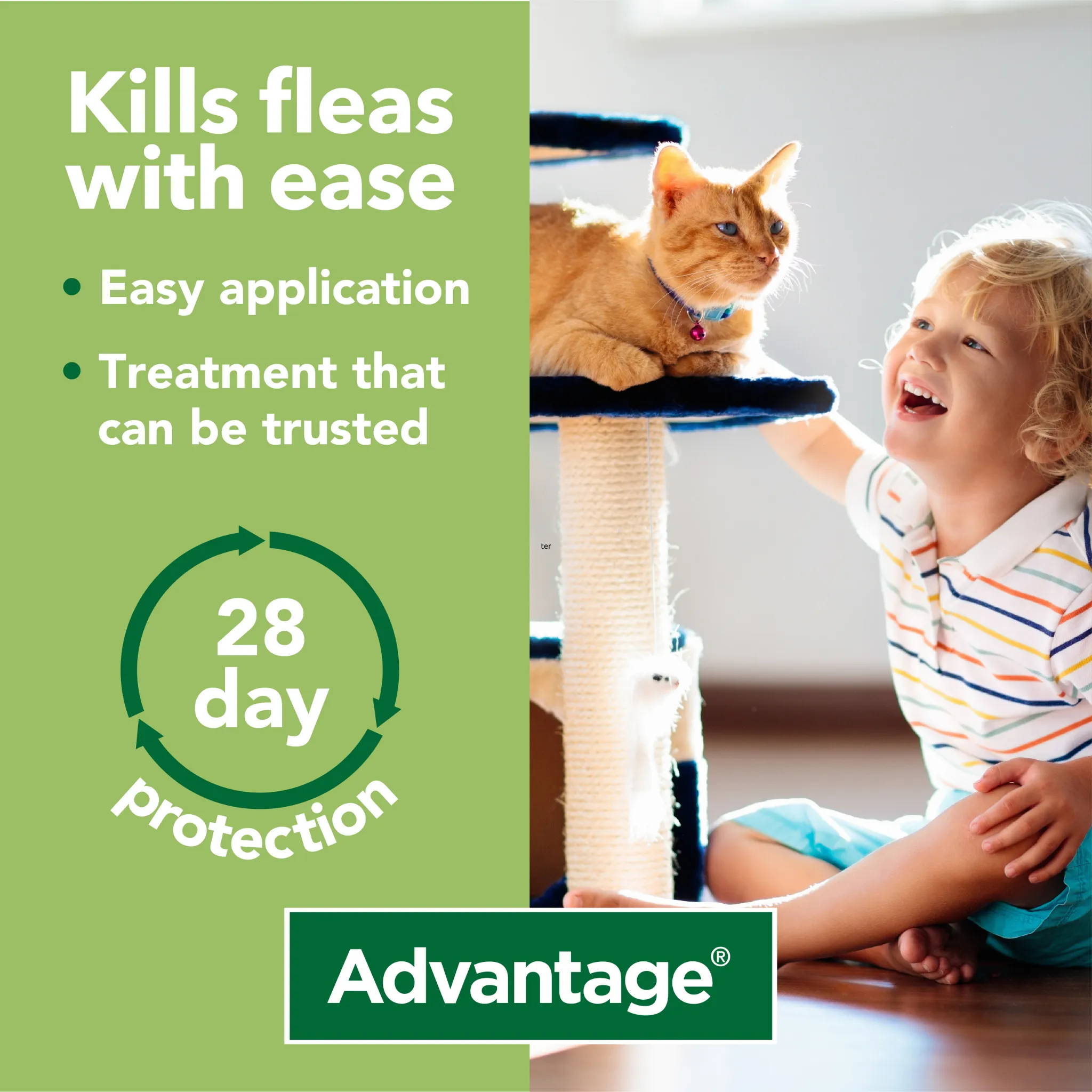 Advantage 40, 4 Week Spot-On Flea Treatment For Small Cats, Dogs and Rabbits Up to 3.99kg - 4 Pipettes