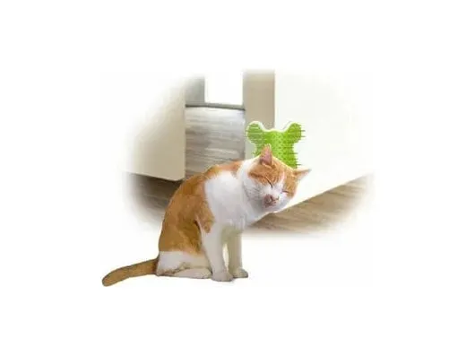 AFP Lifestyle 4 Pet-Cat Corner Groomer