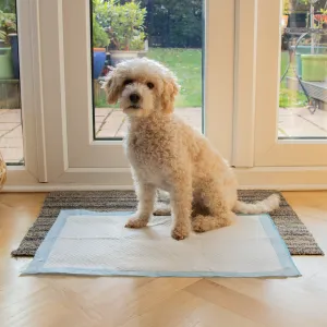 AllPetSolutions 25 x Medium Disposable Puppy Pads - 60 x 40cm