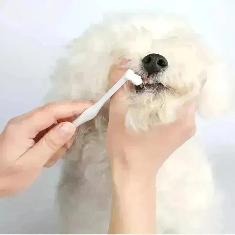 Buy 3pcs Pet Oral Care Kit Dog Cat Dental Care