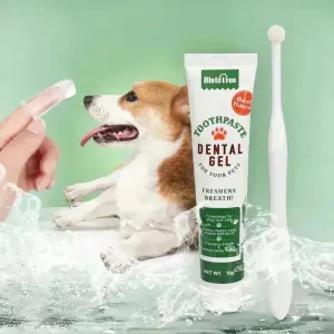 Buy 3pcs Pet Oral Care Kit Dog Cat Dental Care
