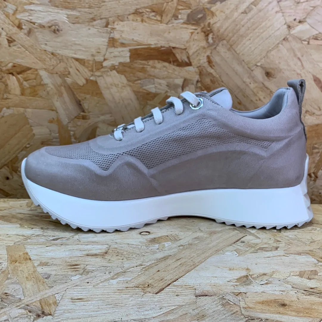 Carmela Womens Leather Fashion Trainers - Ice Grey