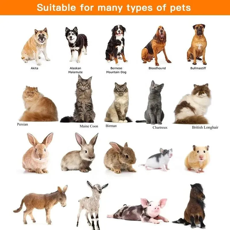 Customizable Luxury Pet Dematting Comb