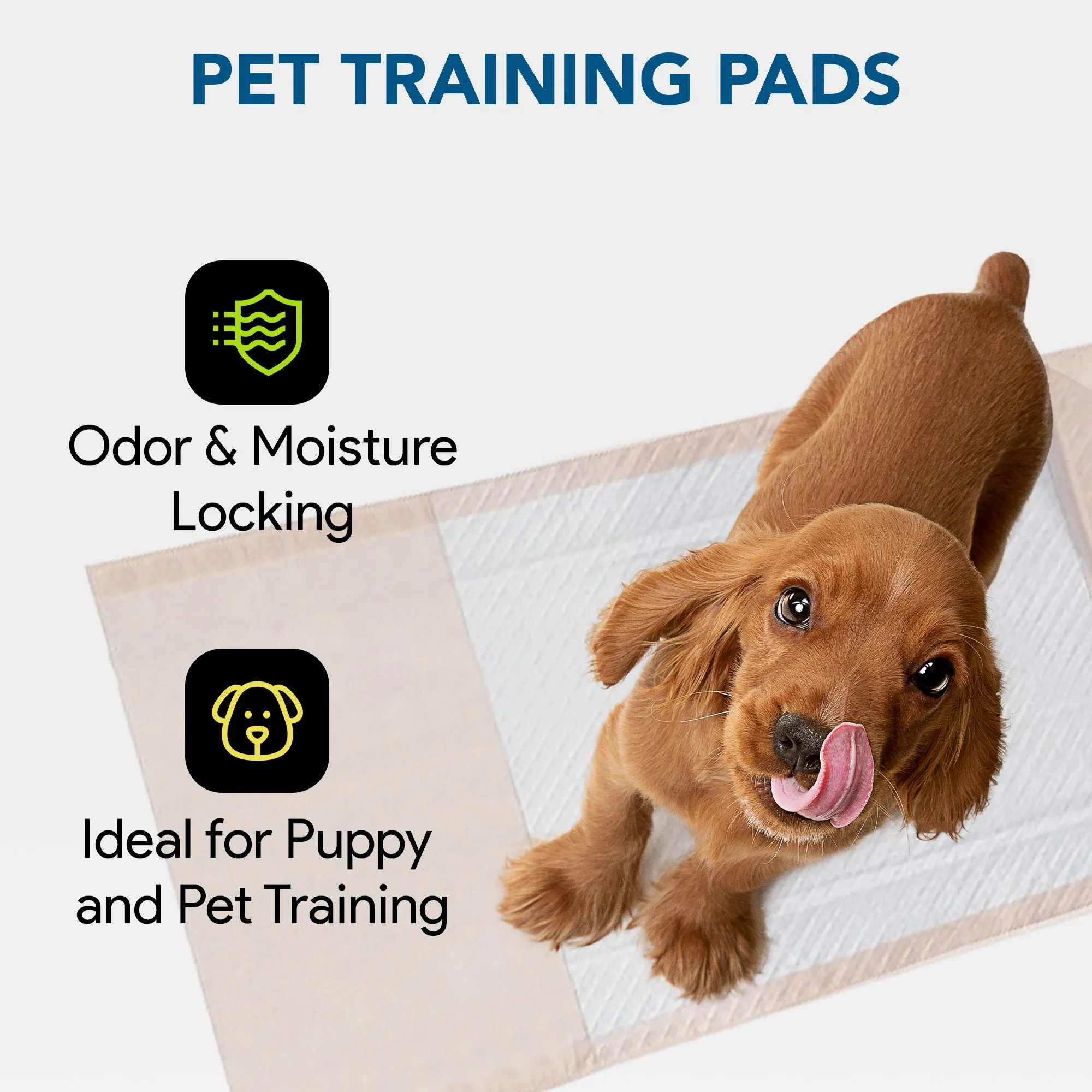 Disposable Incontinence Bed Pads 36"x70", 31"x31" Pad and Tuckable Poly Sides