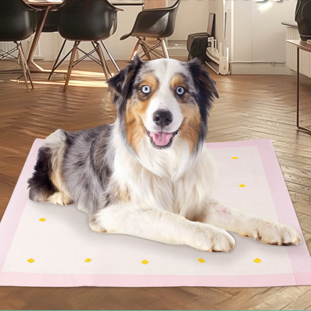 Dog Detection Urine Pad