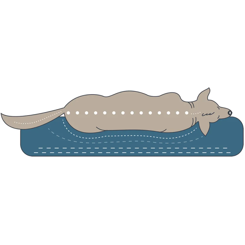 Hunter Livingston Orthopedic Sofa for Dogs (Grey)