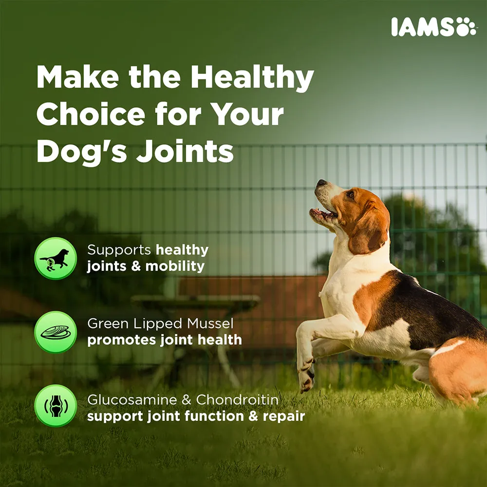 IAMS Proactive Health Dog Supplement For Joint Support (Limited Shelf Life)