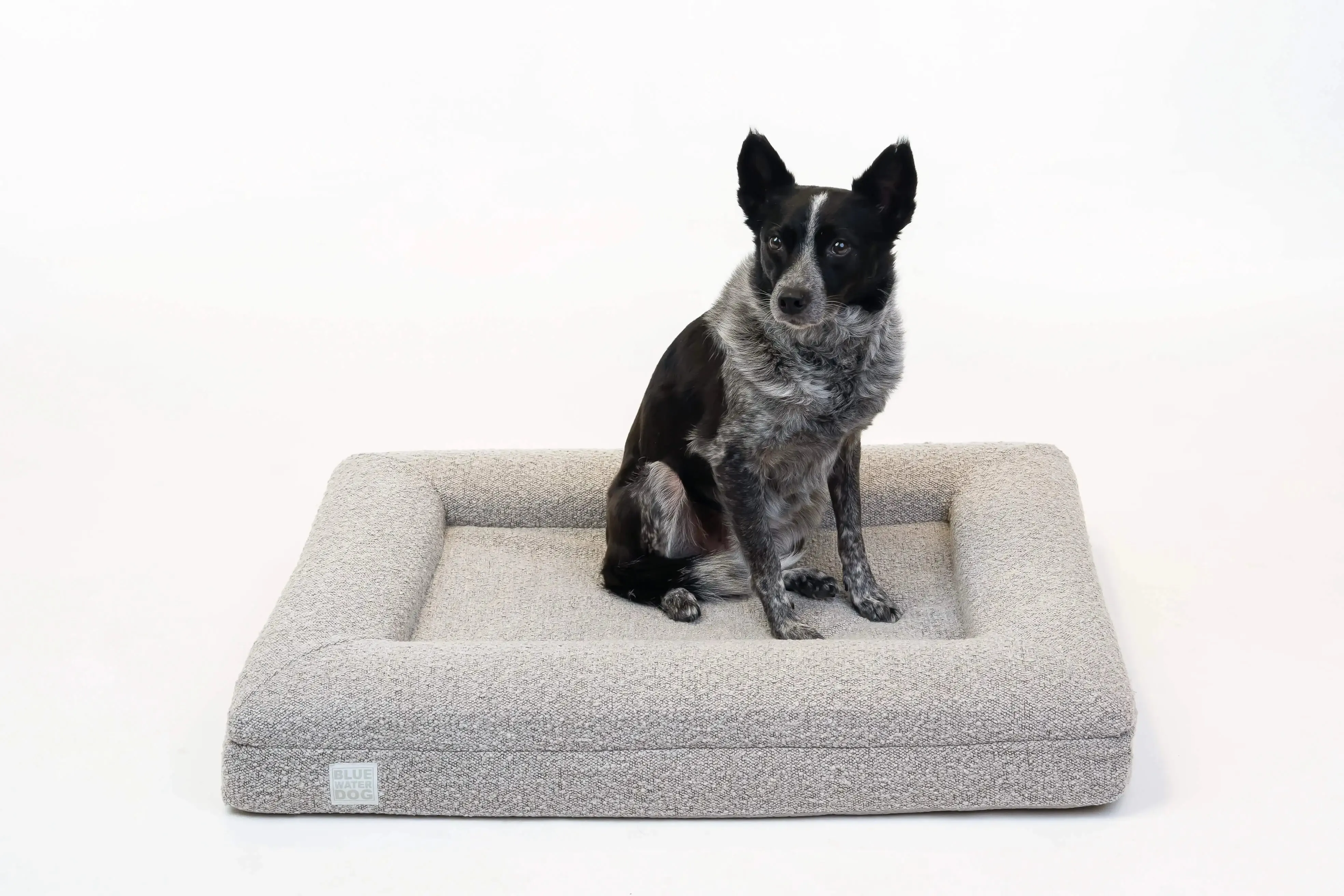 Medium Luxury Bouclé Orthopedic Bluewater Dog Bed (Sand)