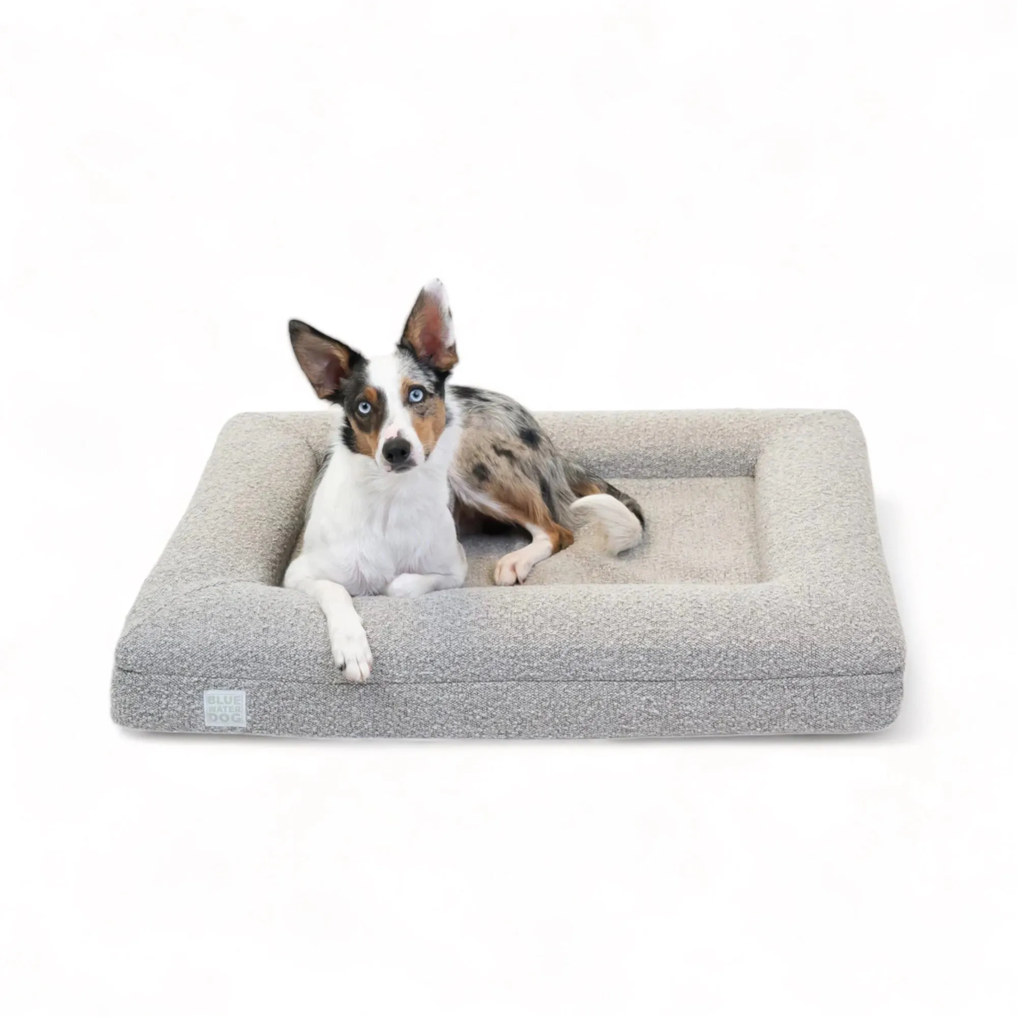 Medium Luxury Bouclé Orthopedic Bluewater Dog Bed (Sand)