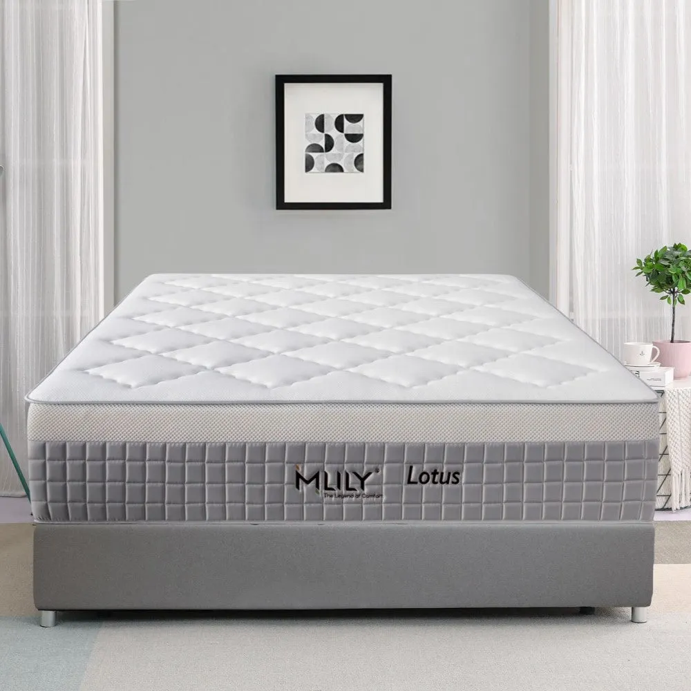 MLILY Lotus King Single Hybrid Mattress