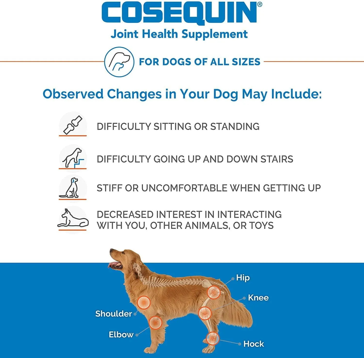 Nutramax Cosequin DS Joint Health Supplement for Dogs - With Glucosamine and Chondroitin, 132 Capsules