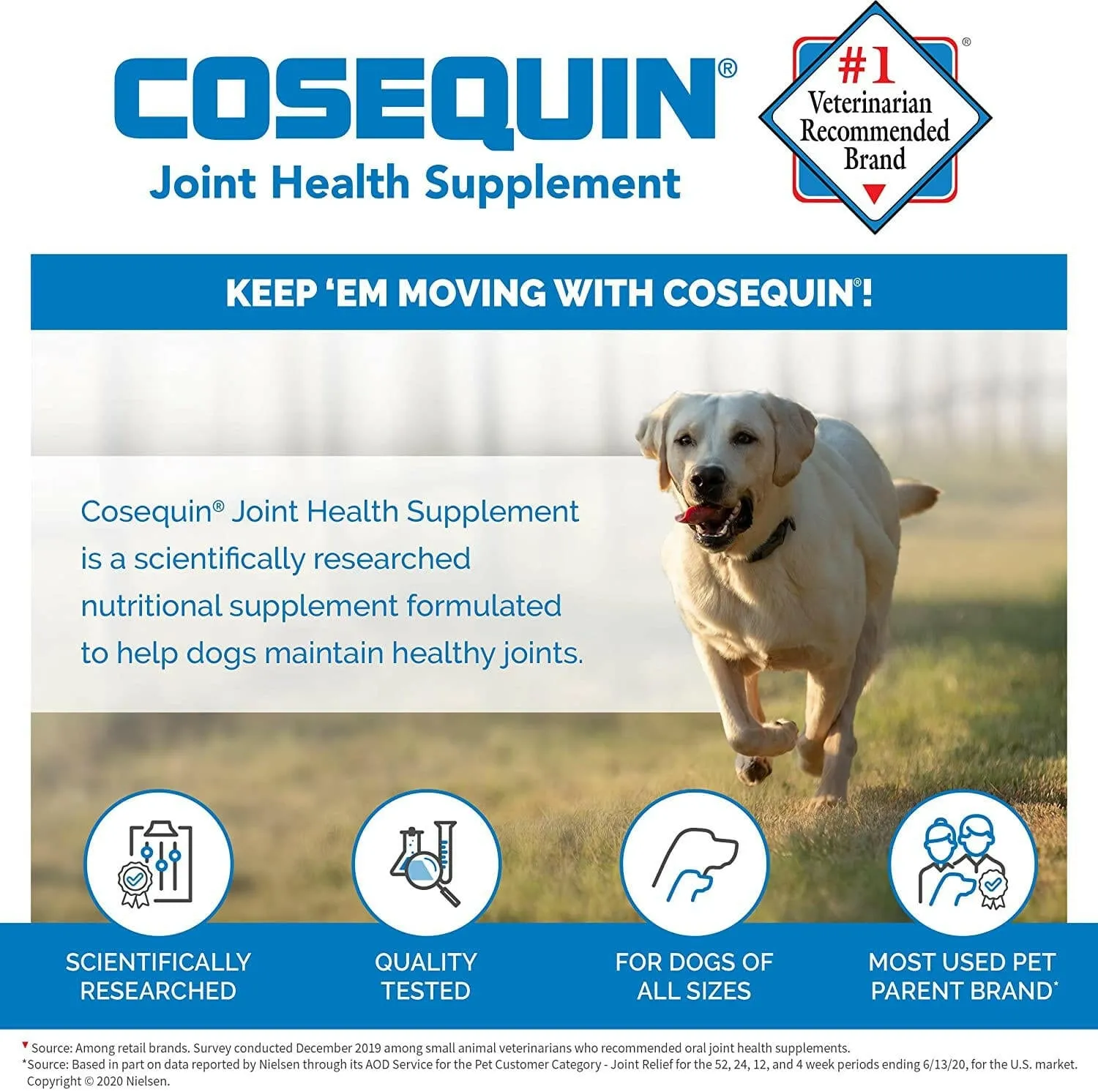 Nutramax Cosequin DS Joint Health Supplement for Dogs - With Glucosamine and Chondroitin, 132 Capsules