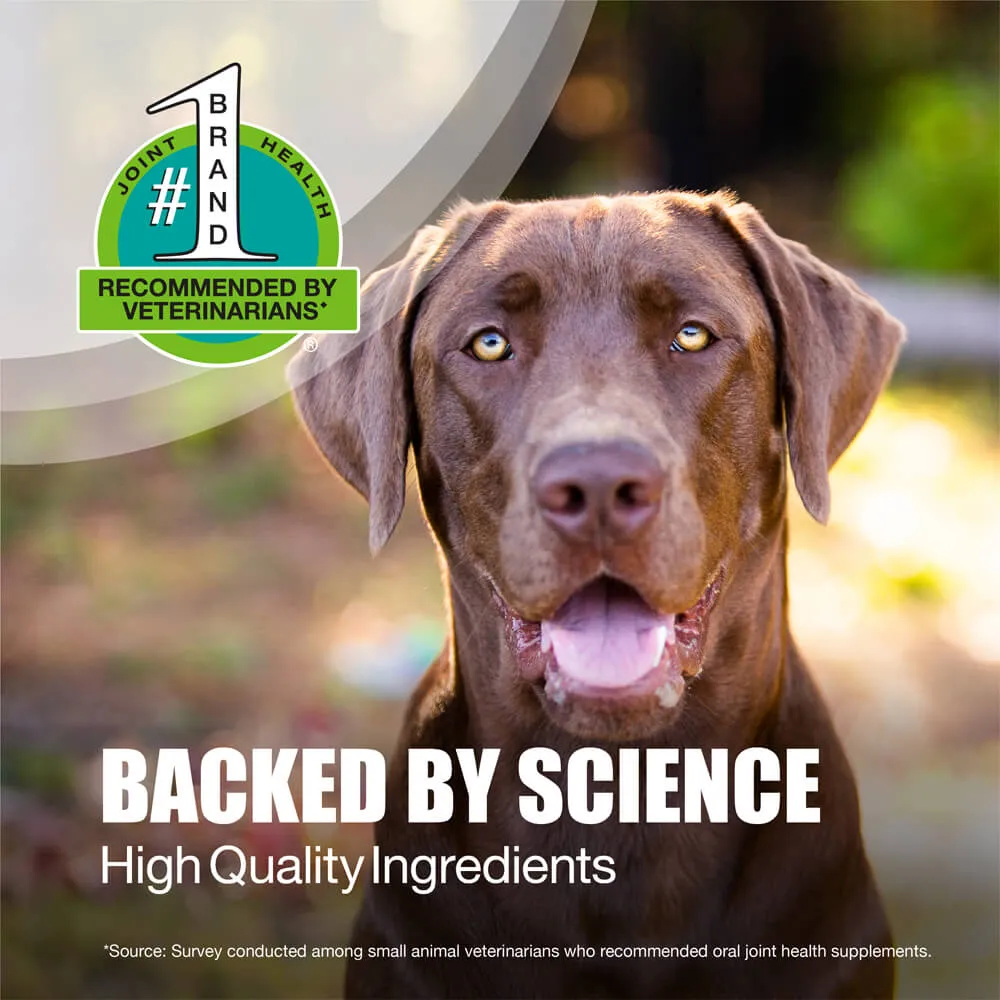 Nutramax Dasuquin Joint Health Supplement for Large Dogs