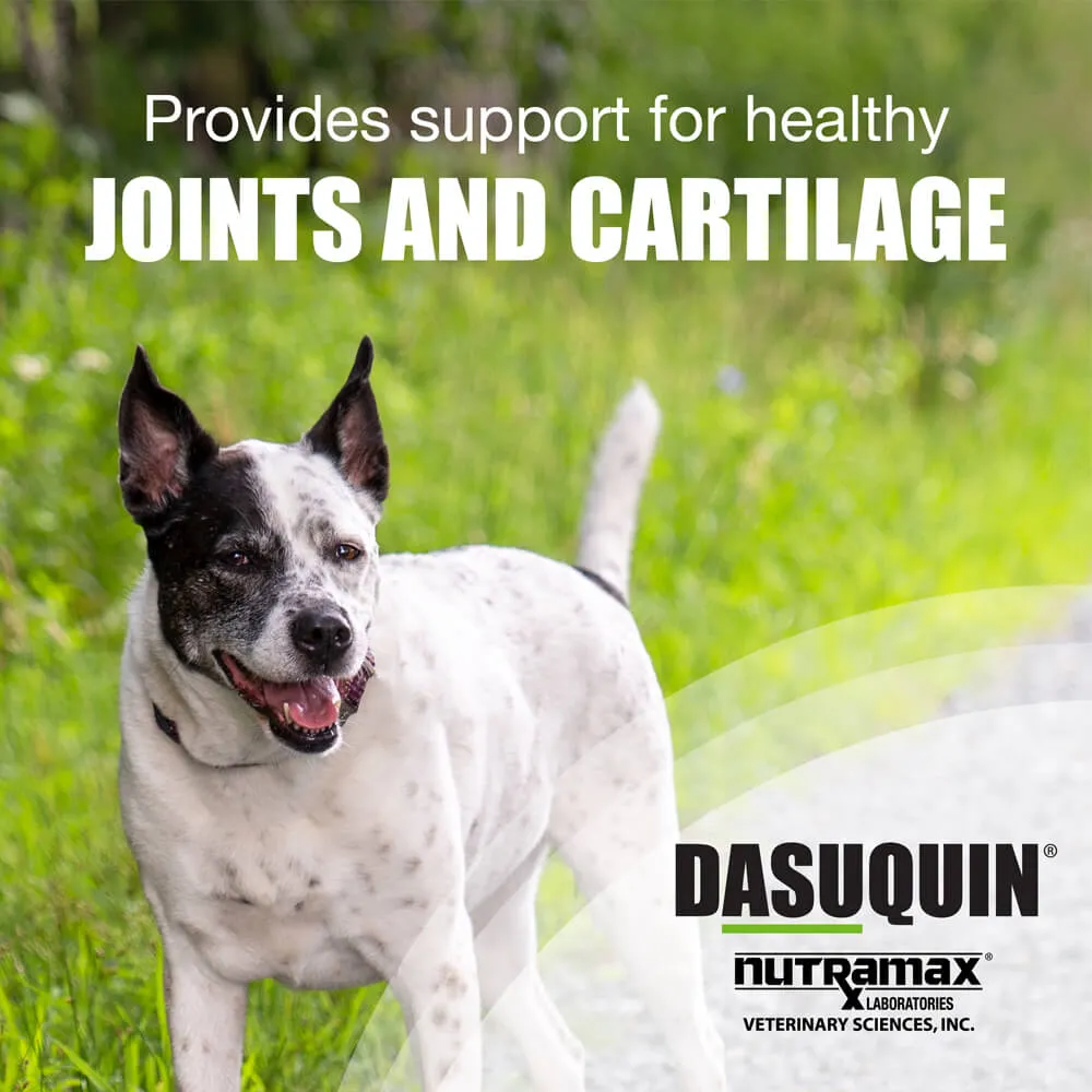 Nutramax Dasuquin Joint Health Supplement for Large Dogs