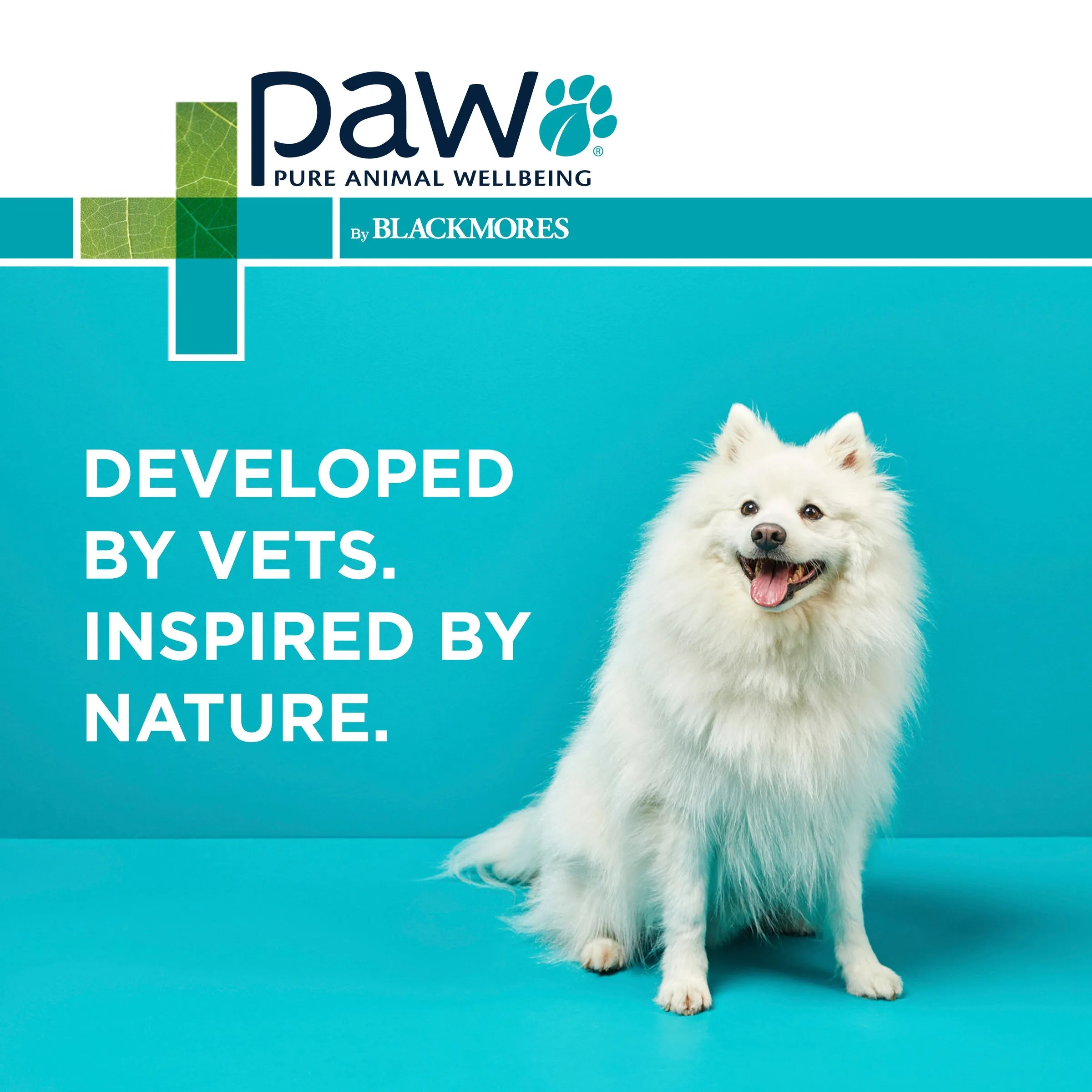 PAW by Blackmores Conditioning and Grooming Spray for Dogs 200ml
