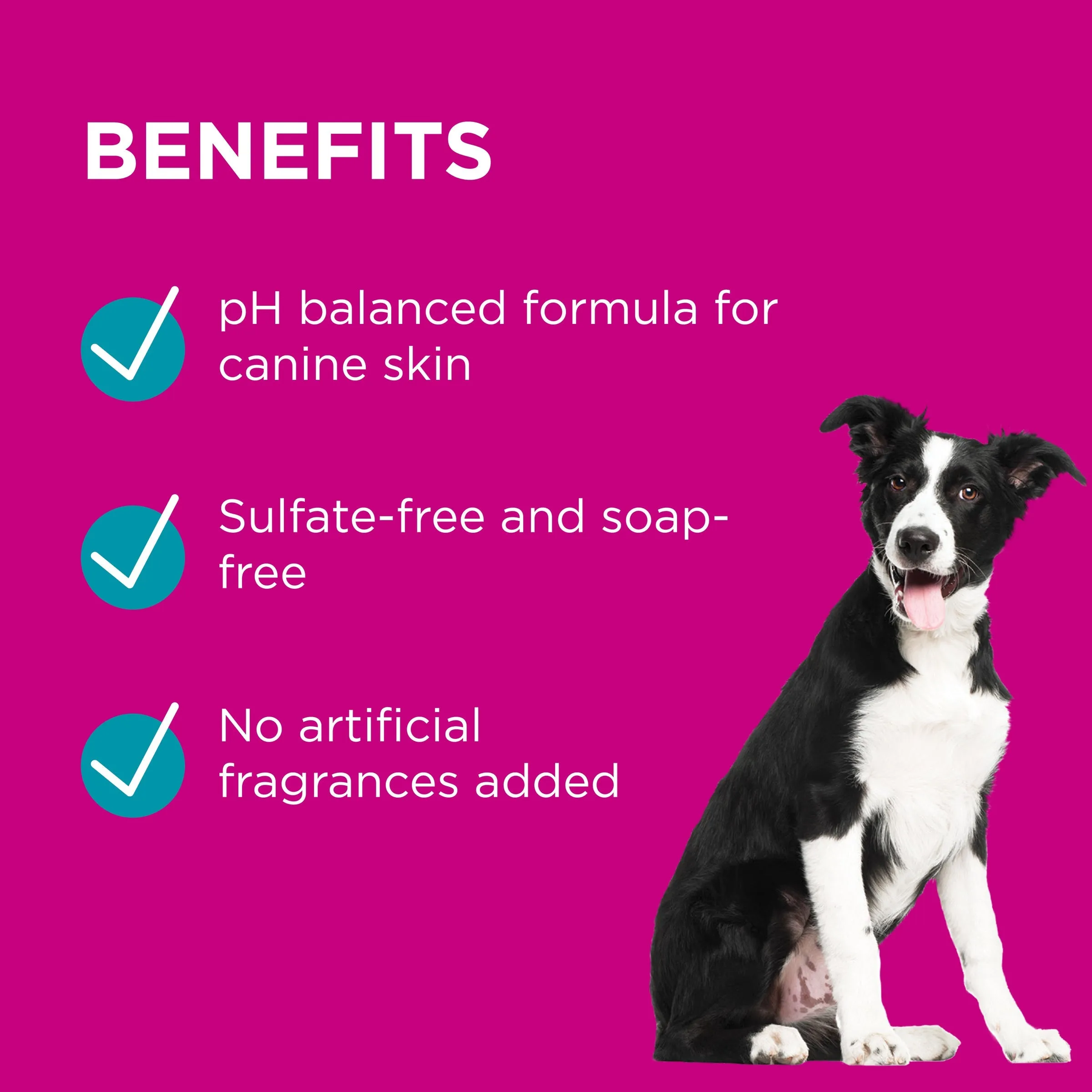 PAW by Blackmores Conditioning and Grooming Spray for Dogs 200ml