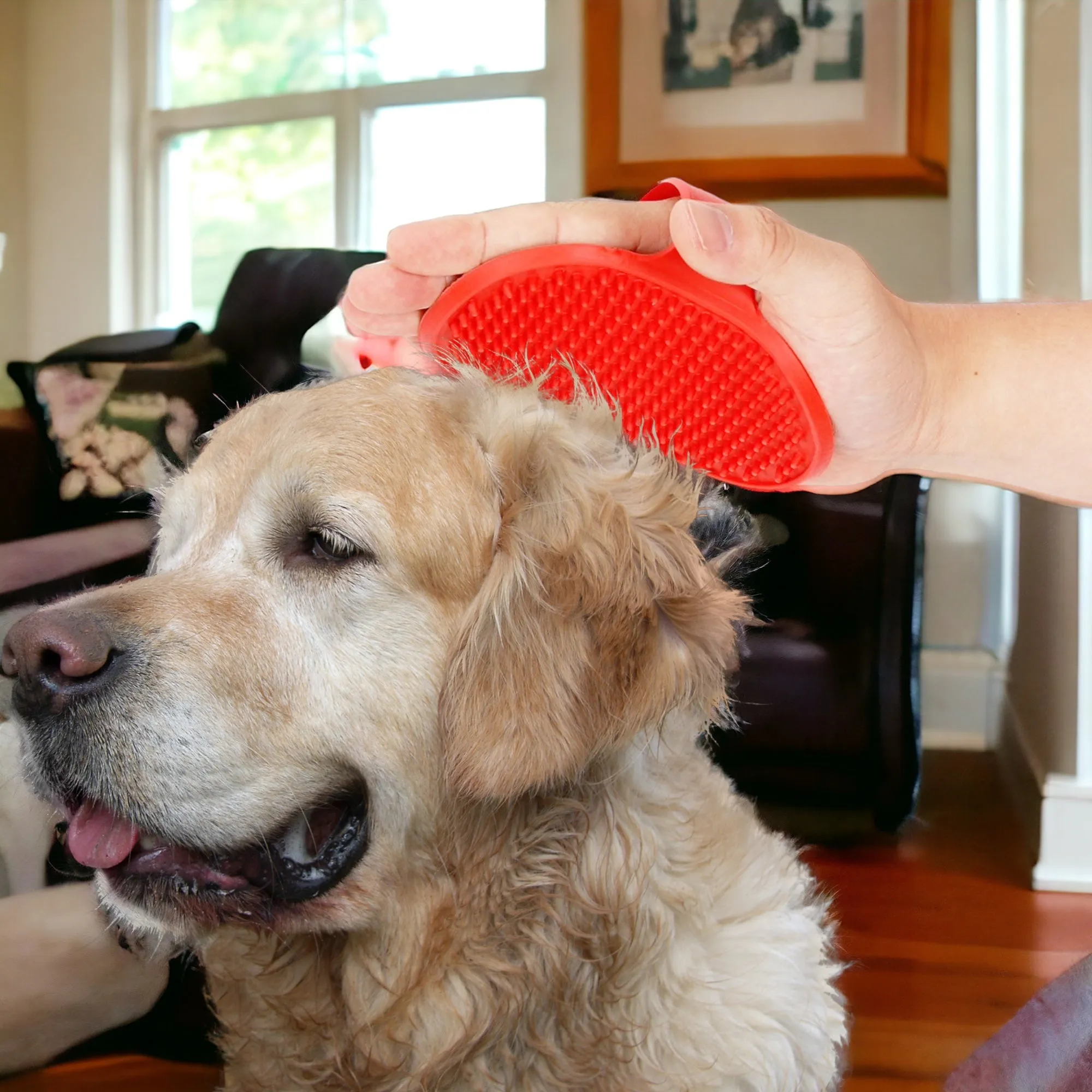 Pet Grooming Palm Brush