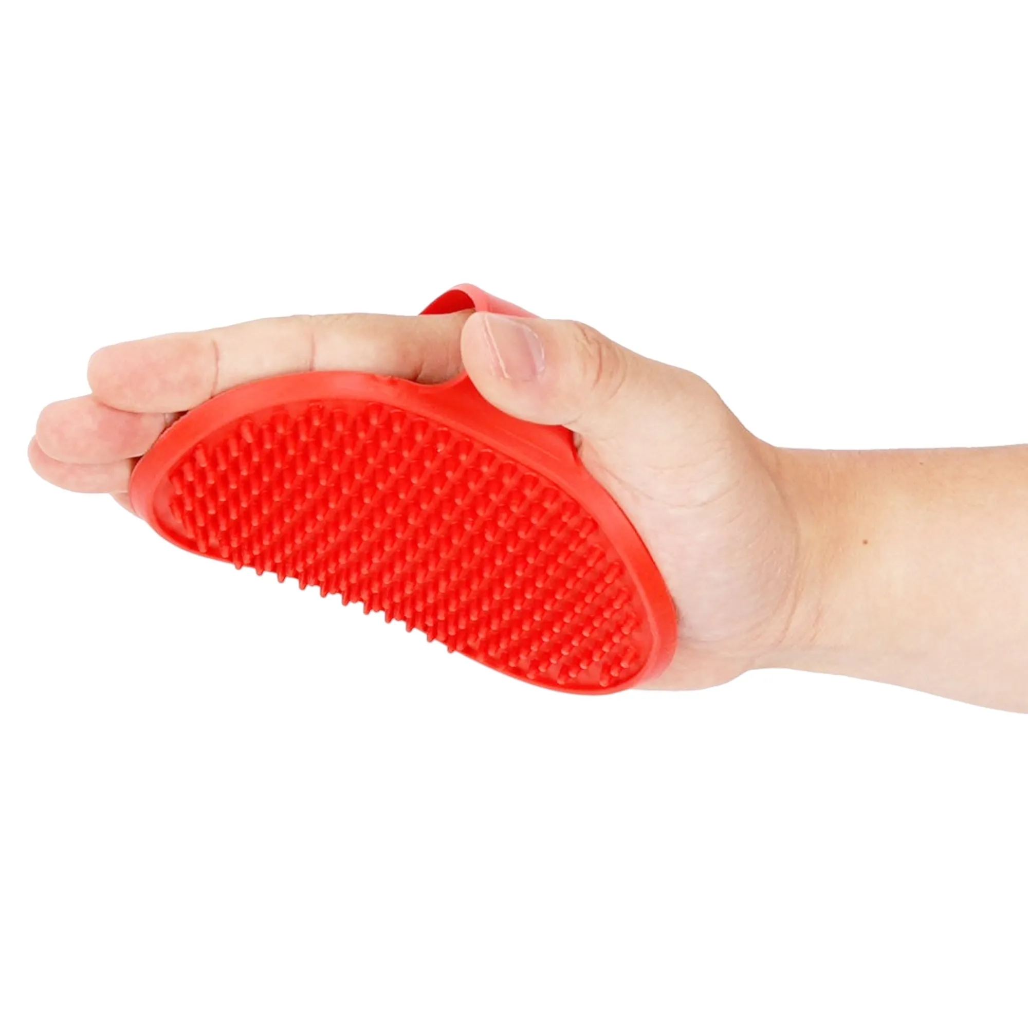 Pet Grooming Palm Brush