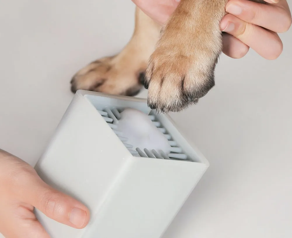 Pidan Paw Cleaning Cup