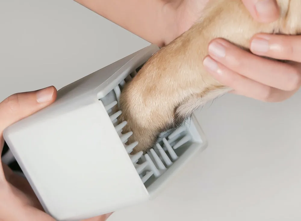 Pidan Paw Cleaning Cup