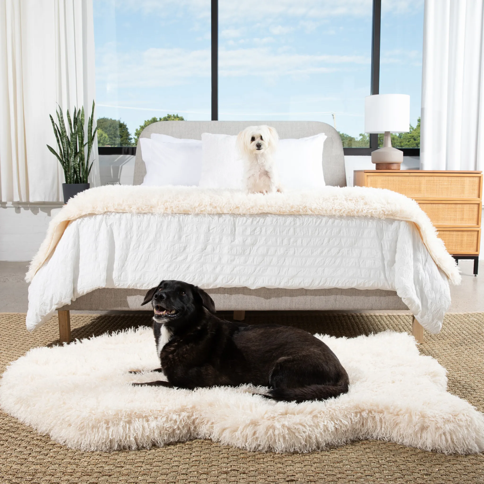 PupRug™ Luxe Orthopedic Bed   Matching Bed Runner Bundle - Plush Sheep Ivory