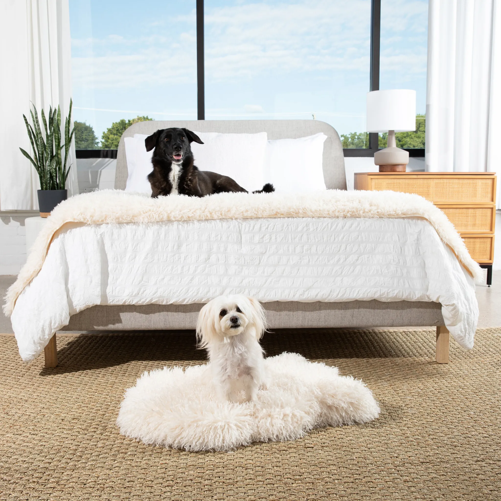 PupRug™ Luxe Orthopedic Bed   Matching Bed Runner Bundle - Plush Sheep Ivory