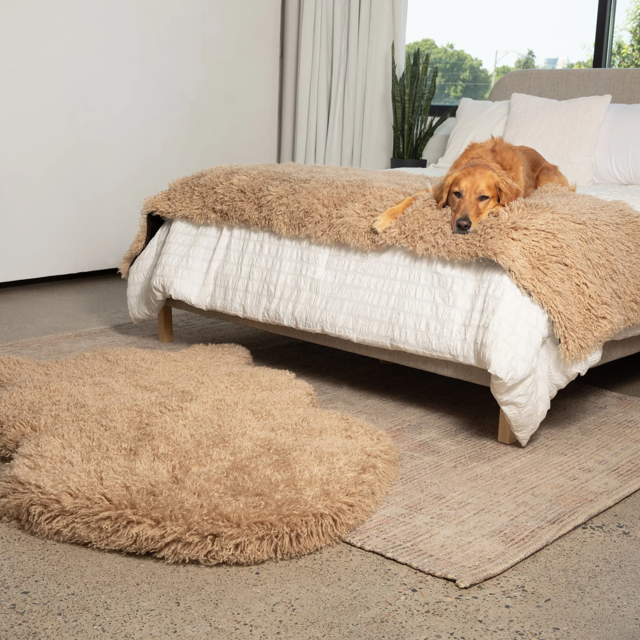 PupRug™ Luxe Orthopedic Bed   Matching Bed Runner Bundle - Plush Sheep Tan