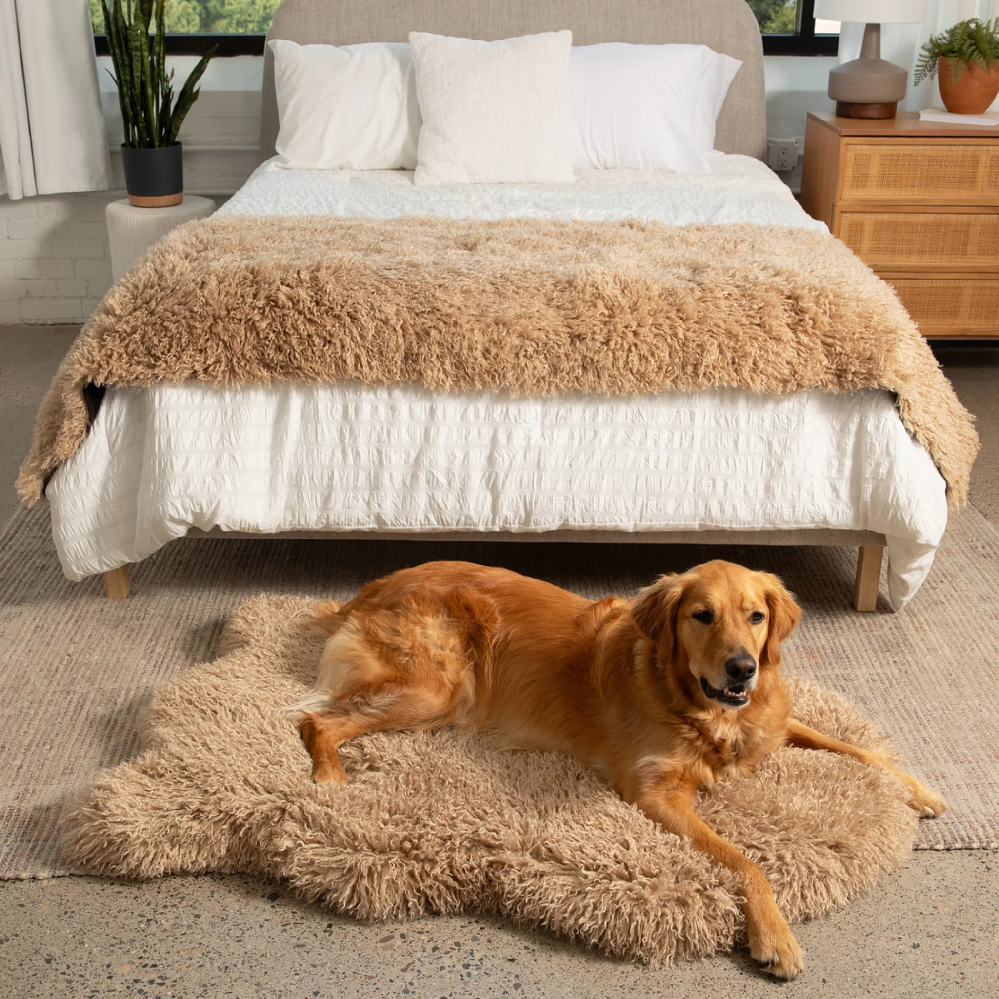PupRug™ Luxe Orthopedic Bed   Matching Bed Runner Bundle - Plush Sheep Tan
