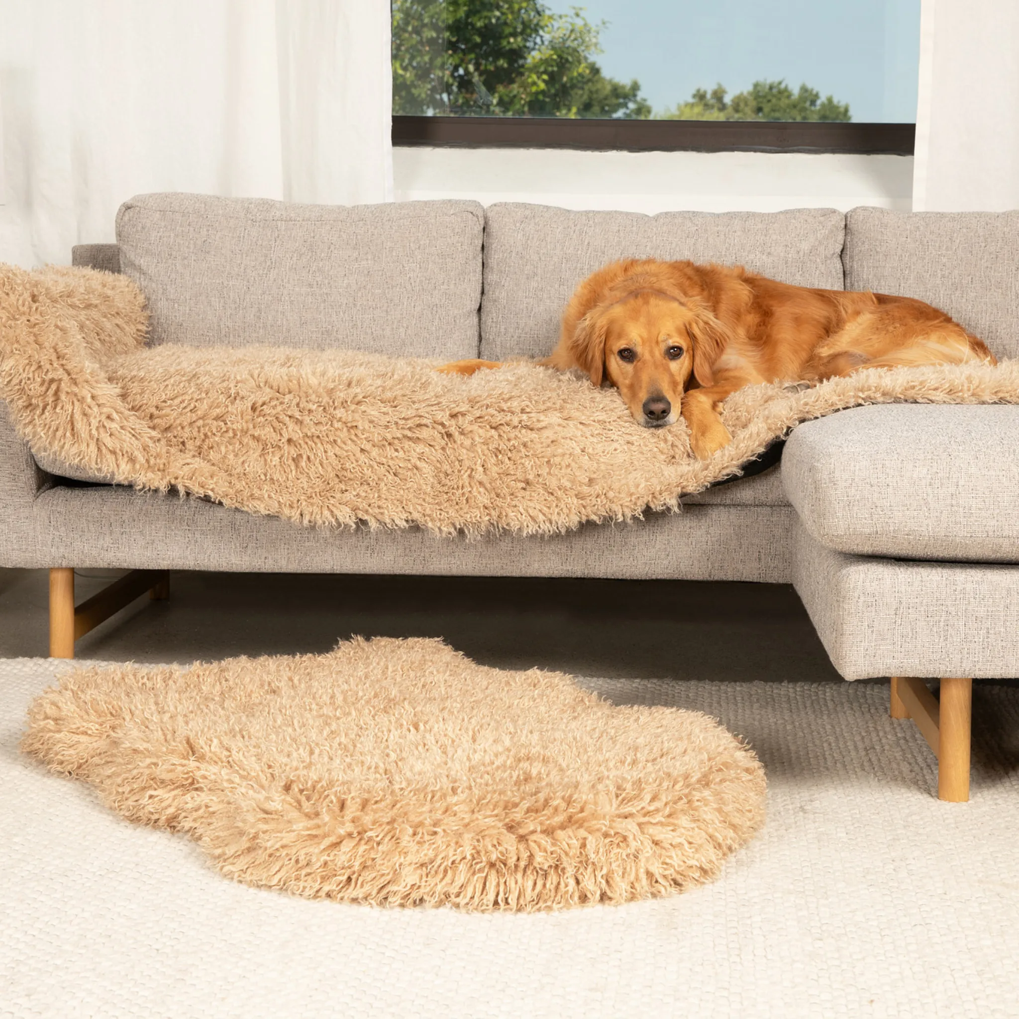PupRug™ Luxe Orthopedic Bed   Matching Bed Runner Bundle - Plush Sheep Tan
