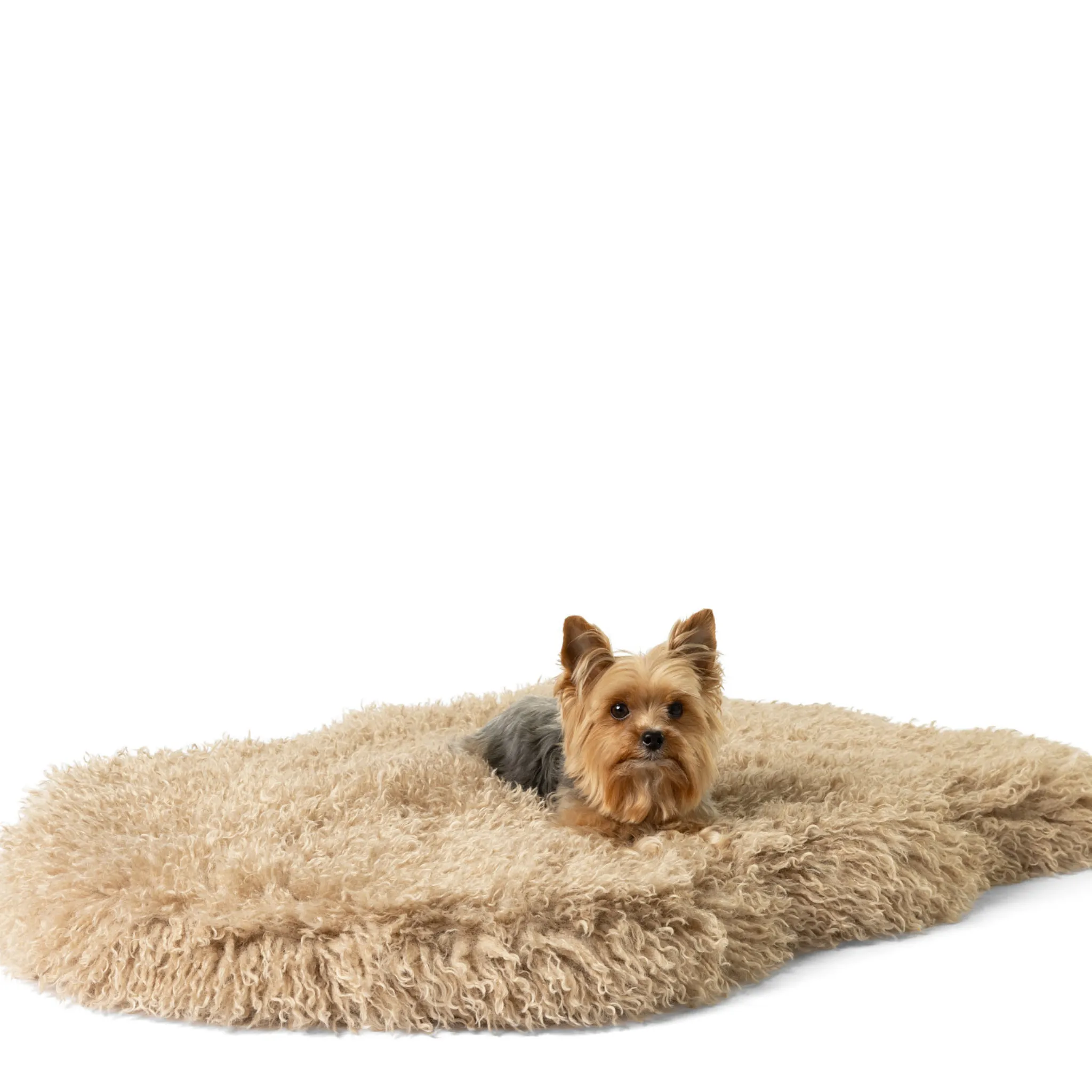 PupRug™ Luxe Orthopedic Bed   Matching Bed Runner Bundle - Plush Sheep Tan