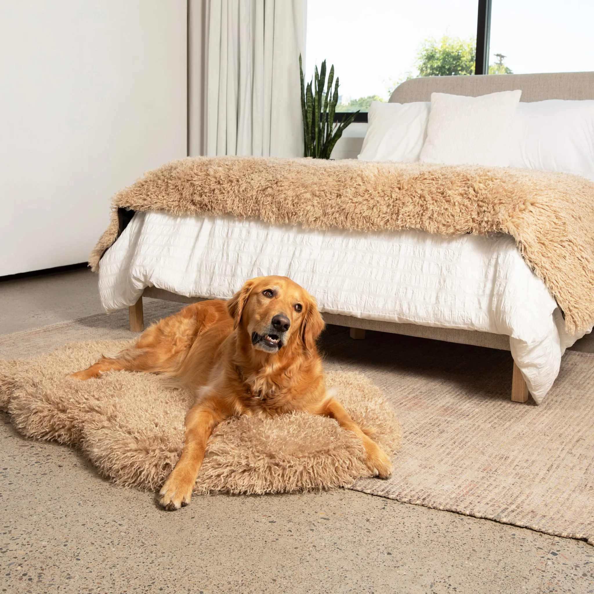 PupRug™ Luxe Orthopedic Bed   Matching Bed Runner Bundle - Plush Sheep Tan