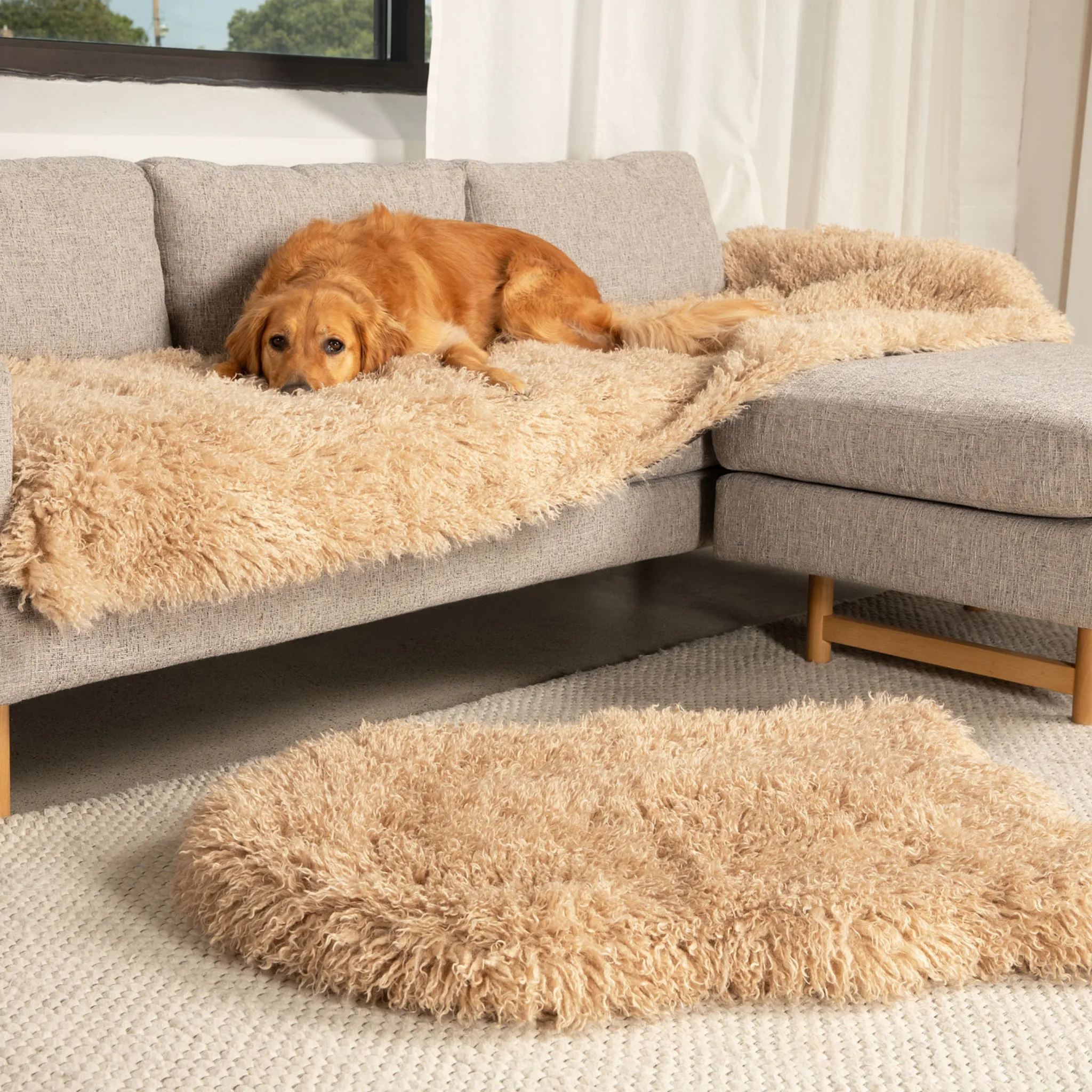 PupRug™ Luxe Orthopedic Bed   Matching Bed Runner Bundle - Plush Sheep Tan