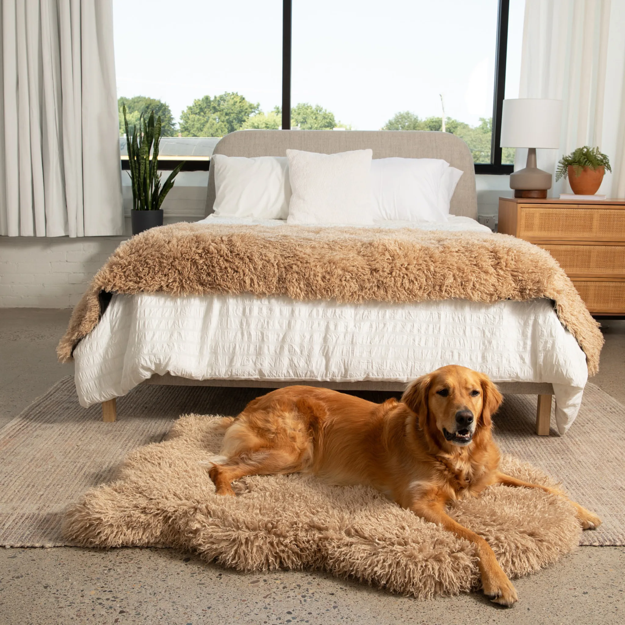 PupRug™ Luxe Orthopedic Bed   Matching Bed Runner Bundle - Plush Sheep Tan