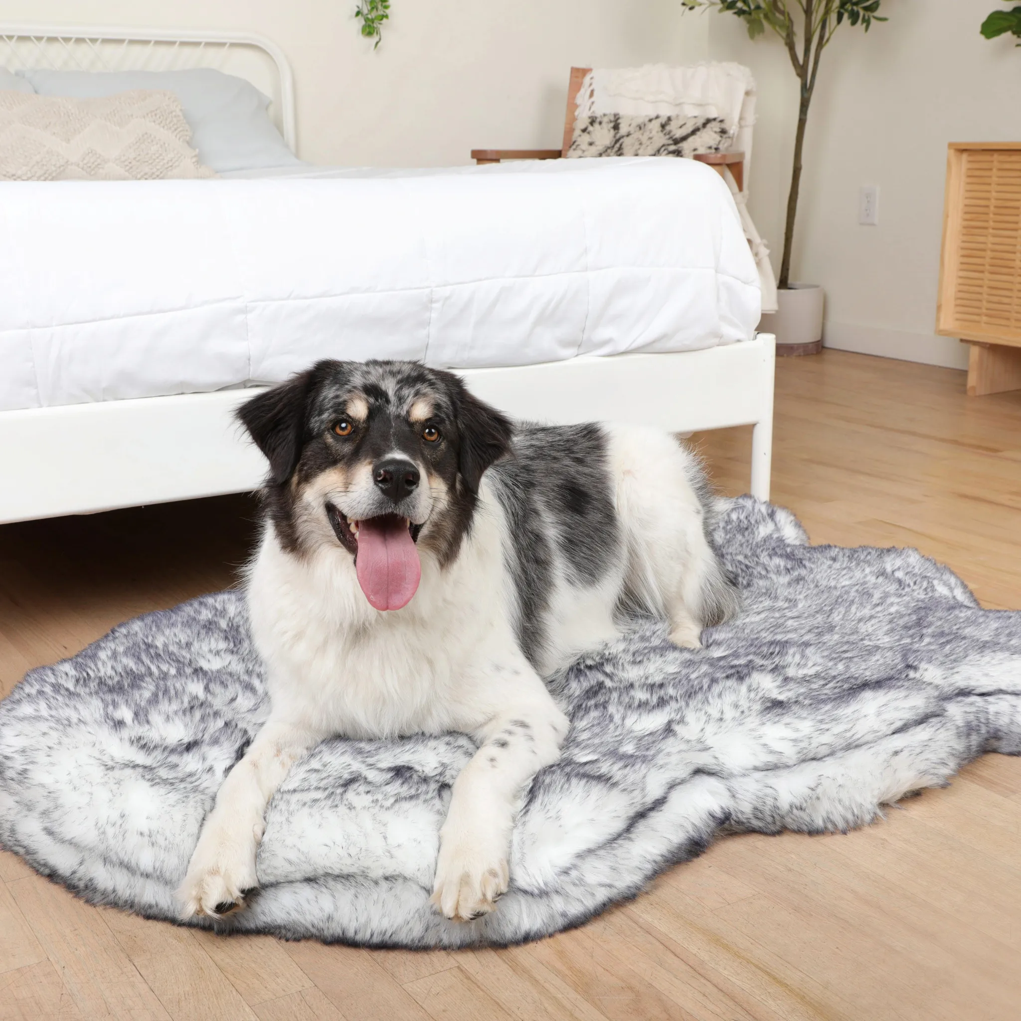 PupRug™ Luxe Orthopedic Bed   Matching Waterproof Blanket  Bundle - Ultra Plush Arctic Fox