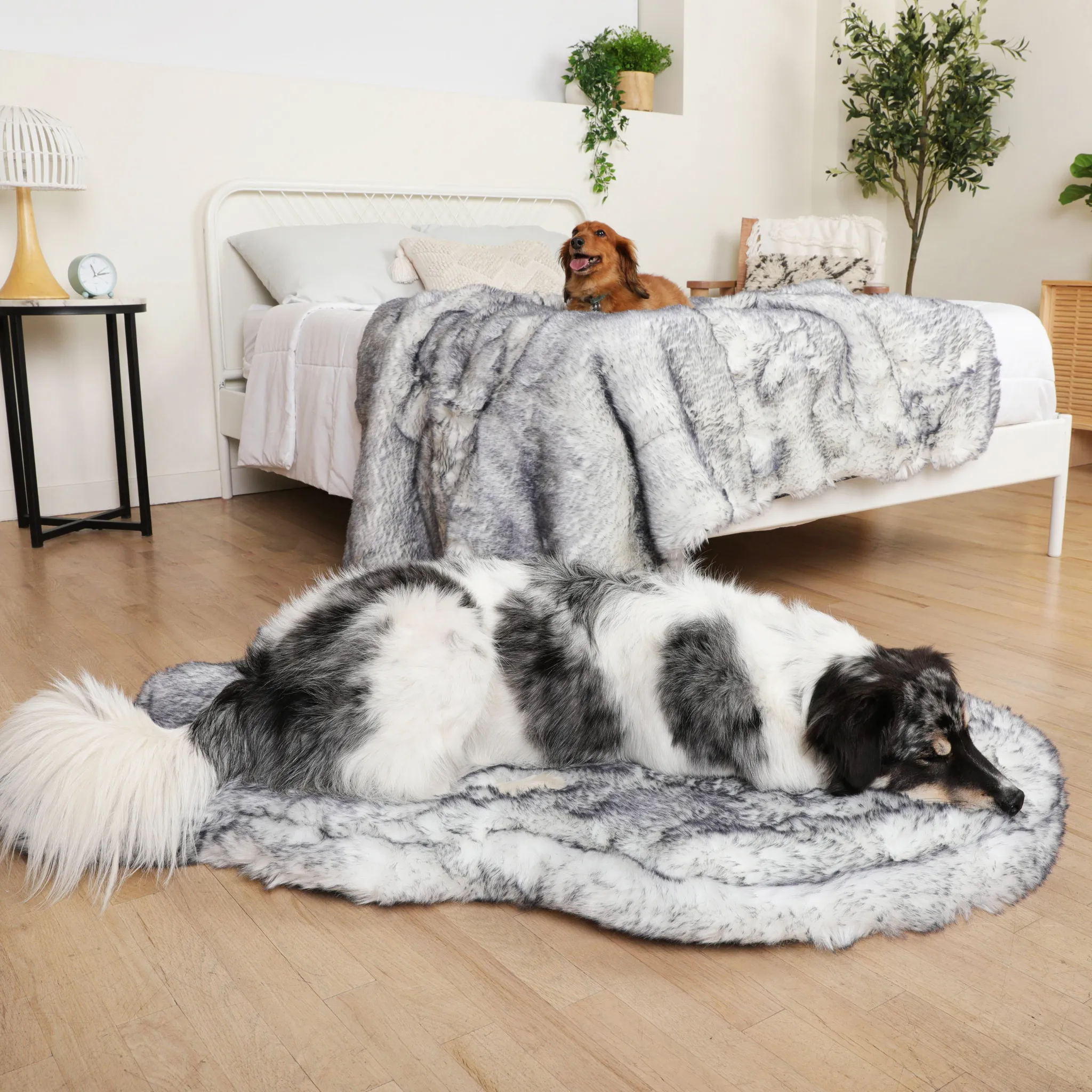 PupRug™ Luxe Orthopedic Bed   Matching Waterproof Blanket  Bundle - Ultra Plush Arctic Fox