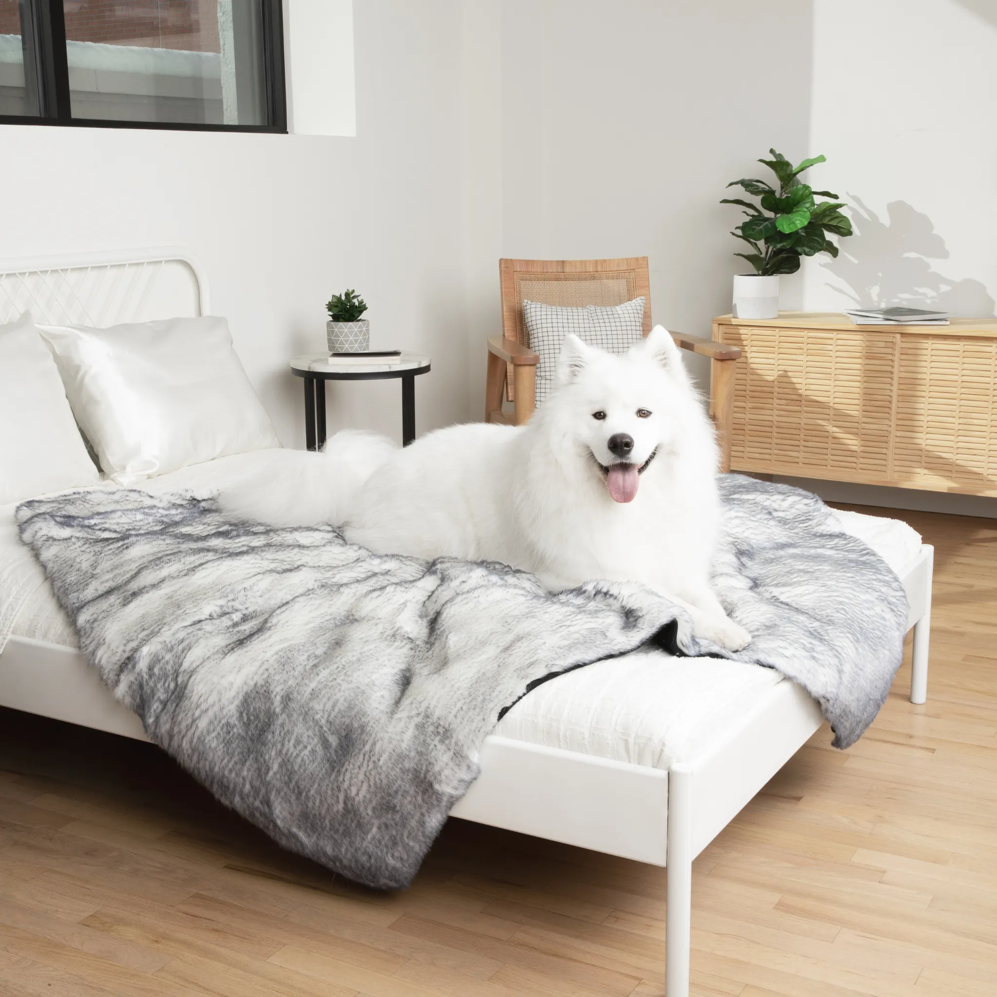 PupRug™ Luxe Orthopedic Bed   Matching Waterproof Blanket  Bundle - Ultra Plush Arctic Fox