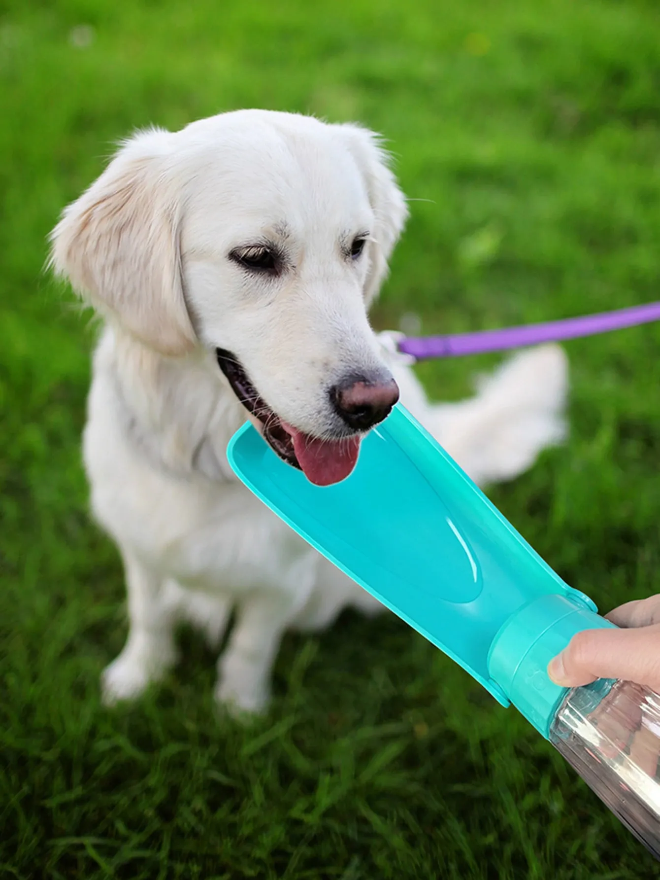 Random Color Pet Foldable Water Bottle