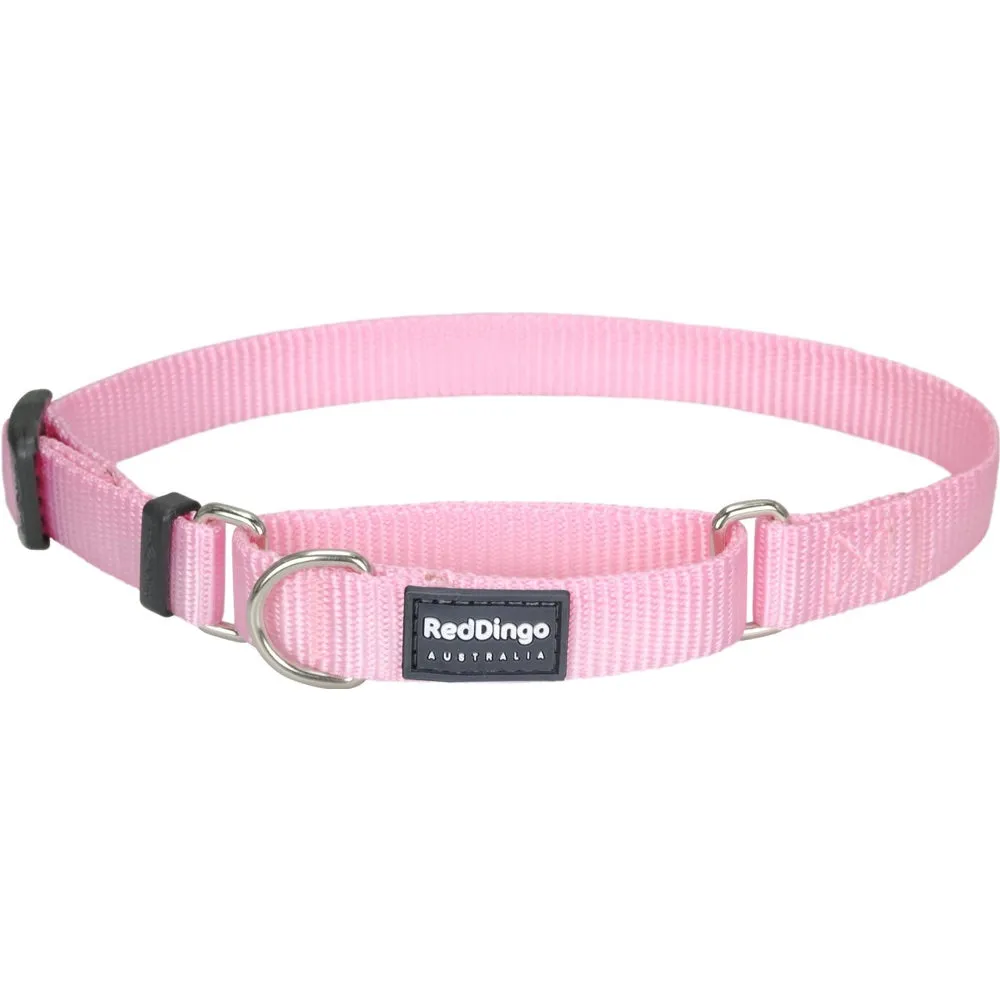 Red Dingo Classic Martingale Dog Collar 15mm