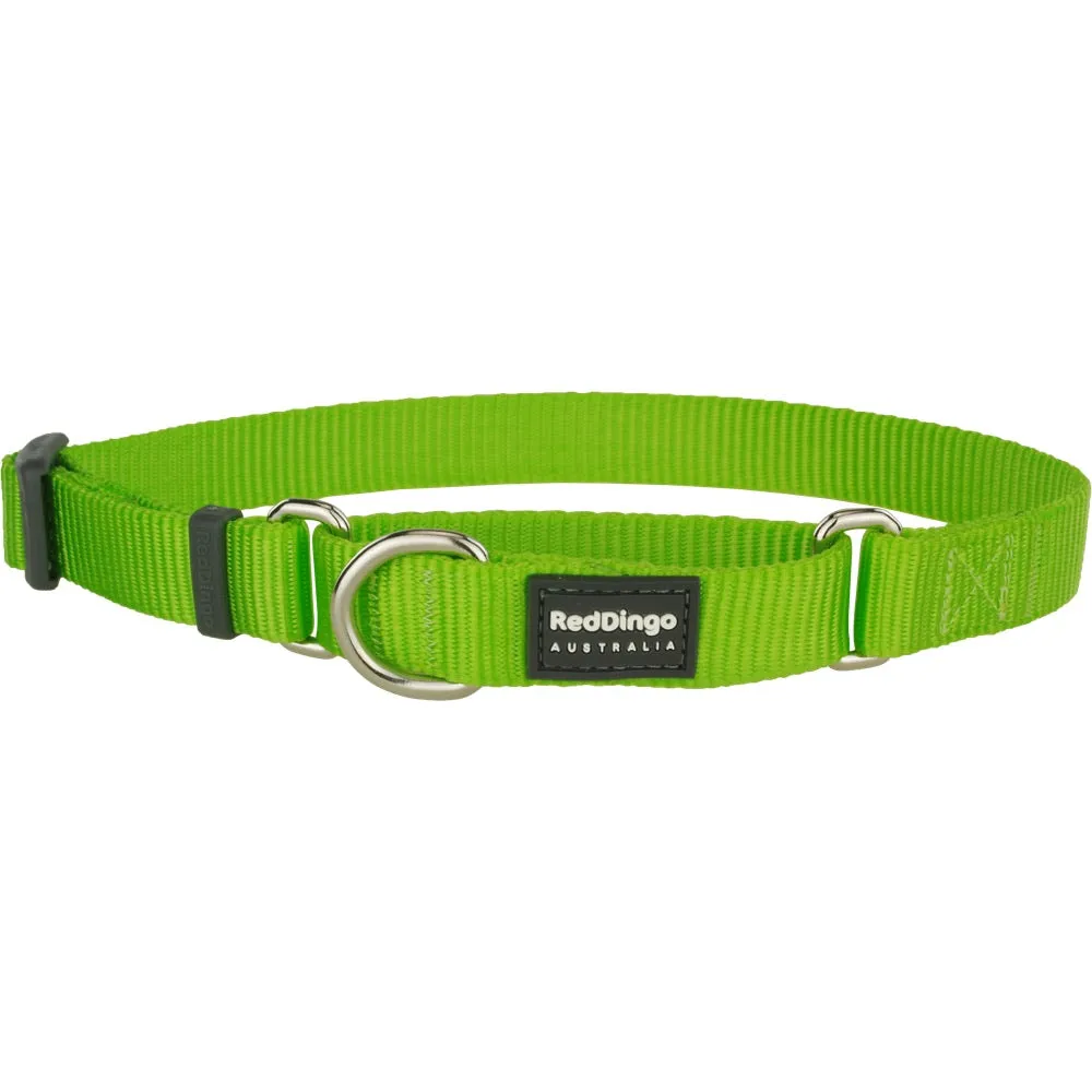 Red Dingo Classic Martingale Dog Collar 15mm