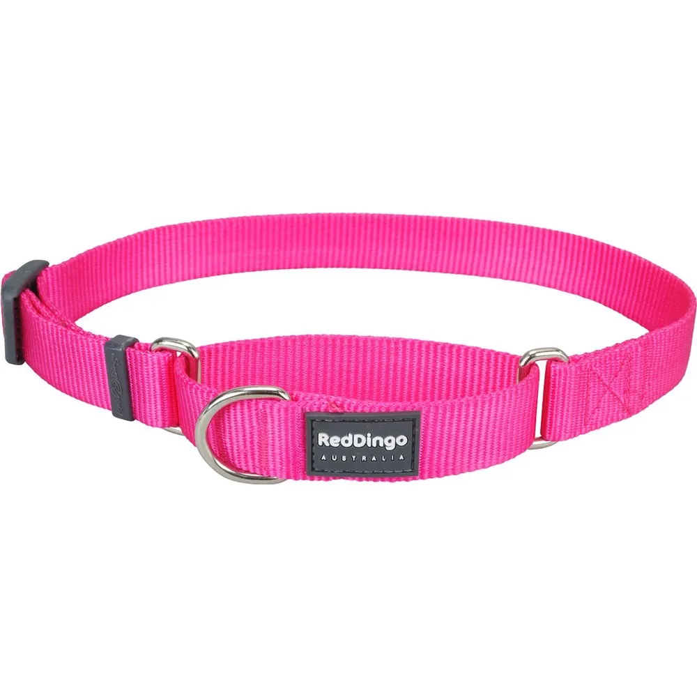 Red Dingo Classic Martingale Dog Collar 15mm