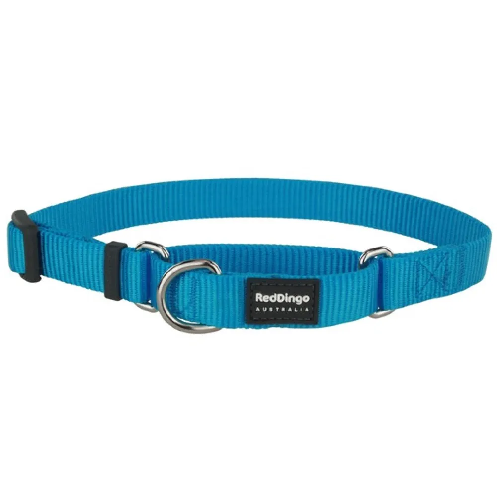 Red Dingo Classic Martingale Dog Collar 25mm