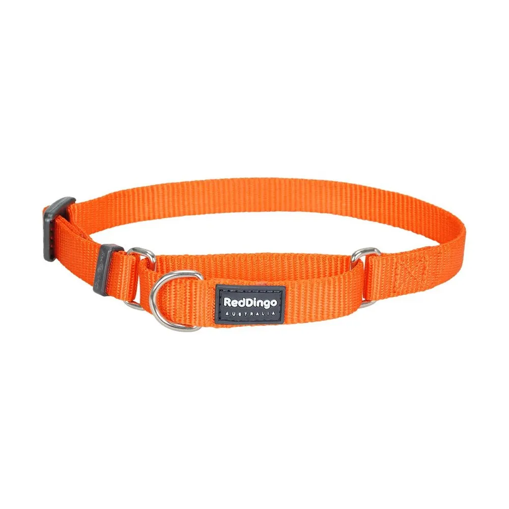 Red Dingo Classic Martingale Dog Collar 25mm