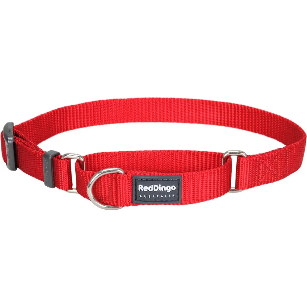 Red Dingo Classic Martingale Dog Collar 25mm