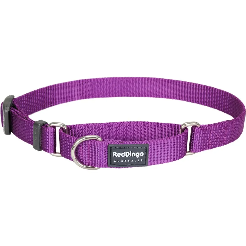 Red Dingo Classic Martingale Dog Collar 25mm
