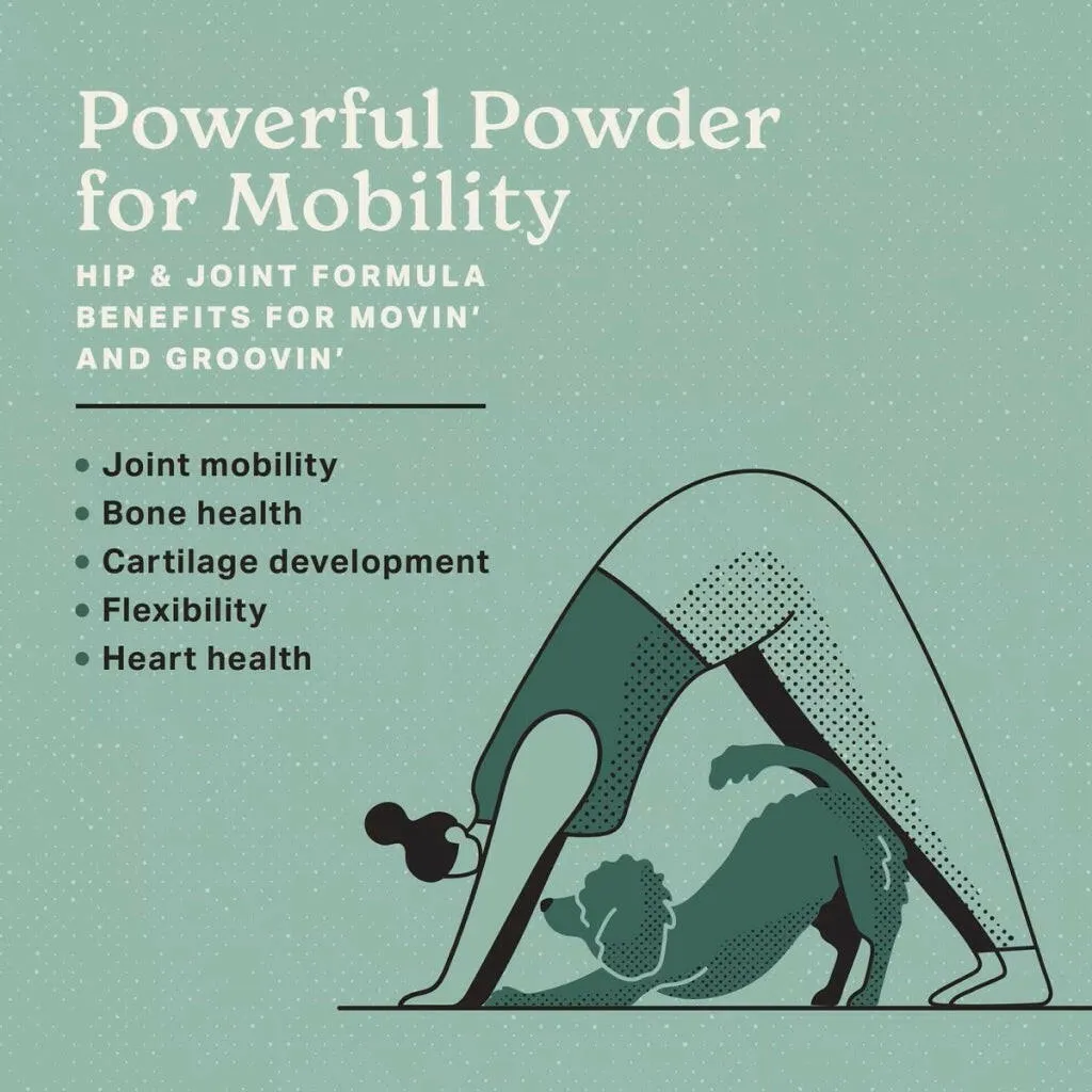 The Missing Link Hip & Joint Supplement Powder For Dogs