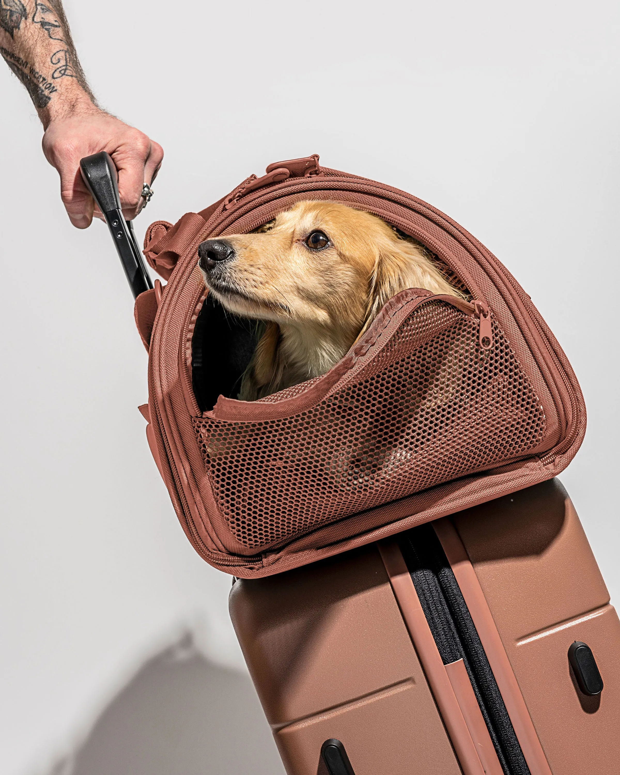 Travel Carrier