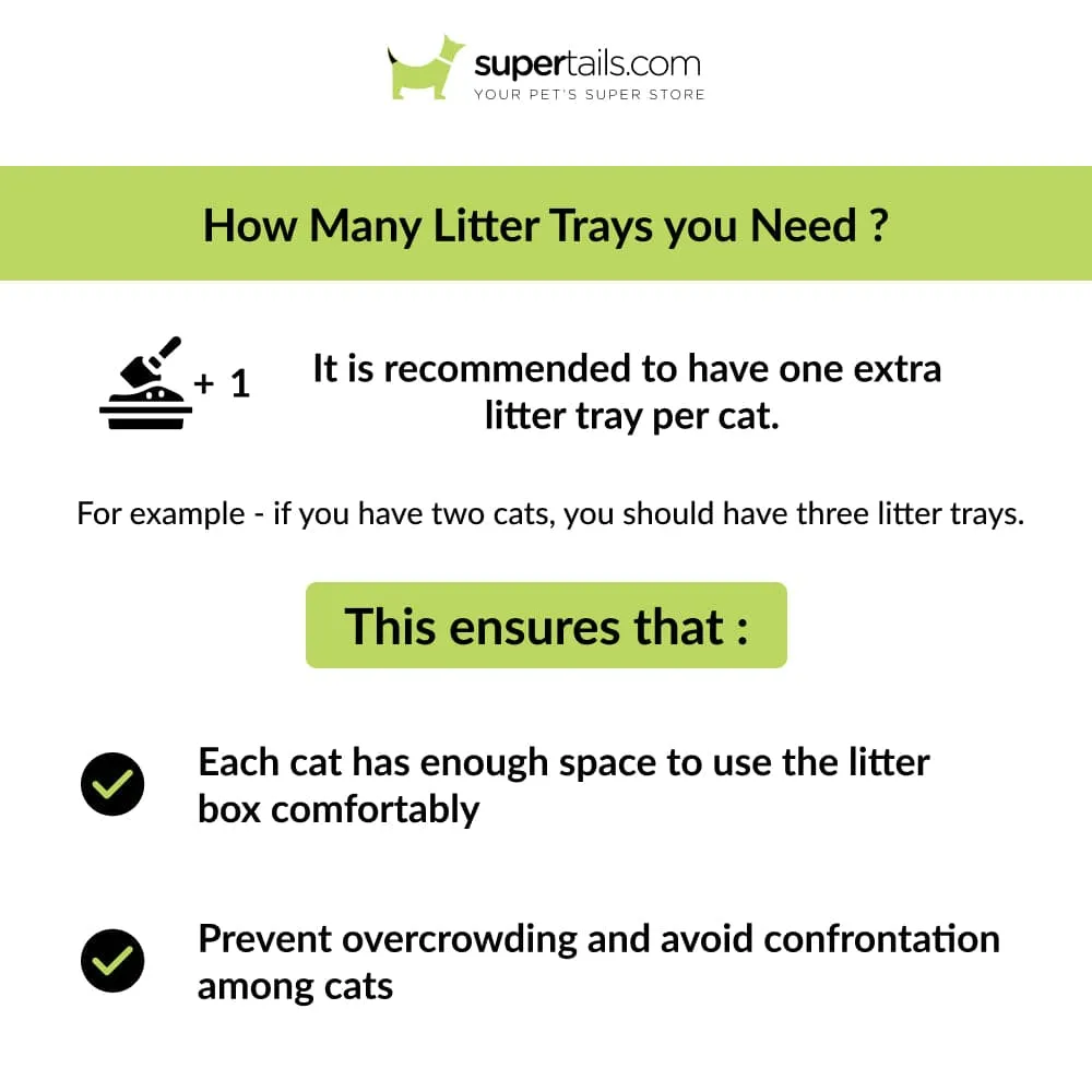 Trixie Be Eco Carlo Litter Tray with Rim for Cats (Grey Green/Anthracite)