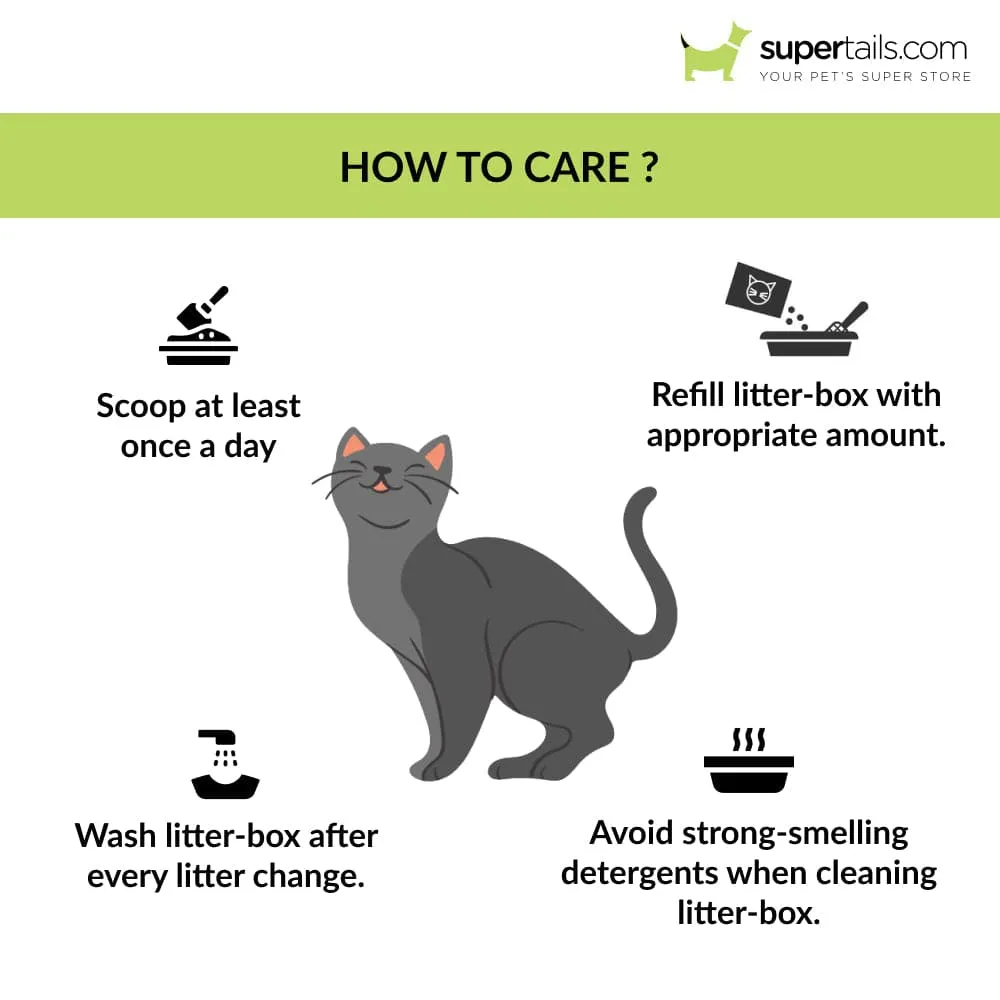 Trixie Be Eco Carlo Litter Tray with Rim for Cats (Grey Green/Anthracite)